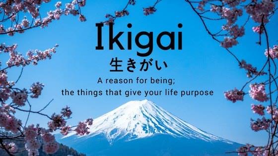 Ikigai (Reason for Being)​